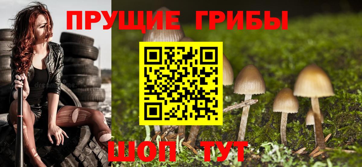 Галлюциногенные грибы мухоморы Дубна